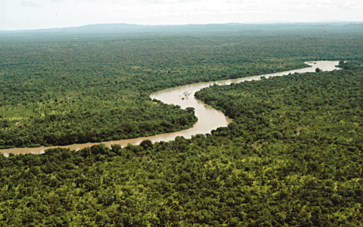 Niokolo-Koba National Park