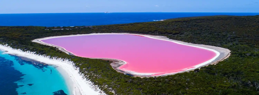 Pink Lake - Senegal