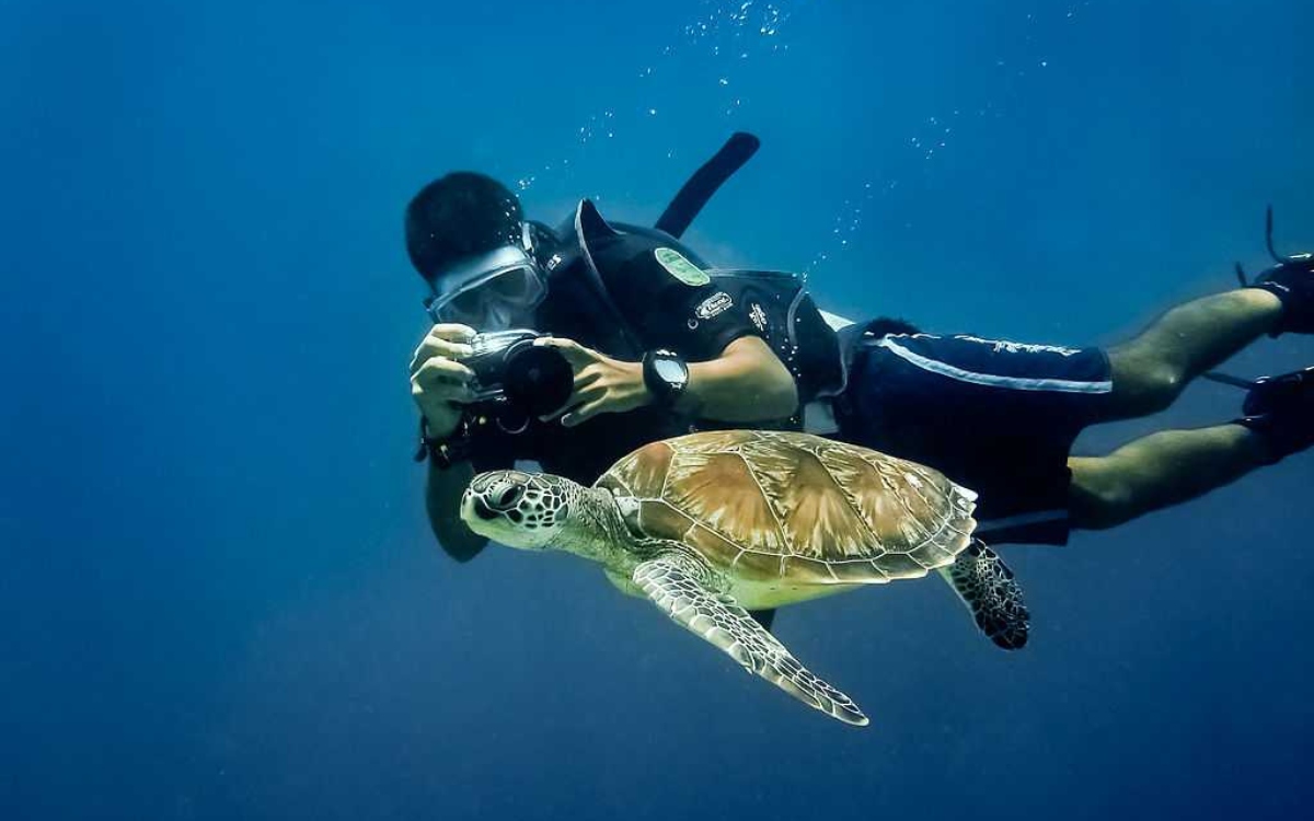 diving in Indian ocean