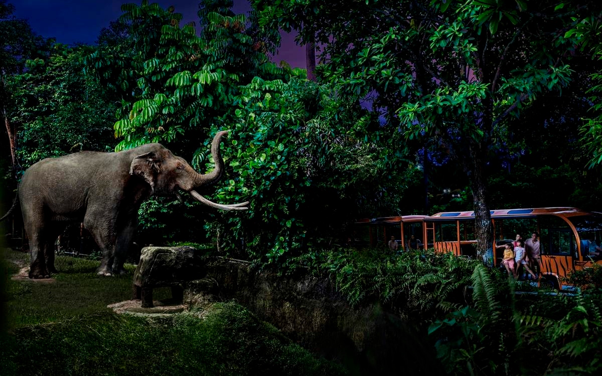 night safari singapore