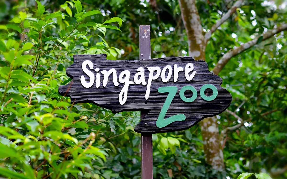 singapore zoo (1)